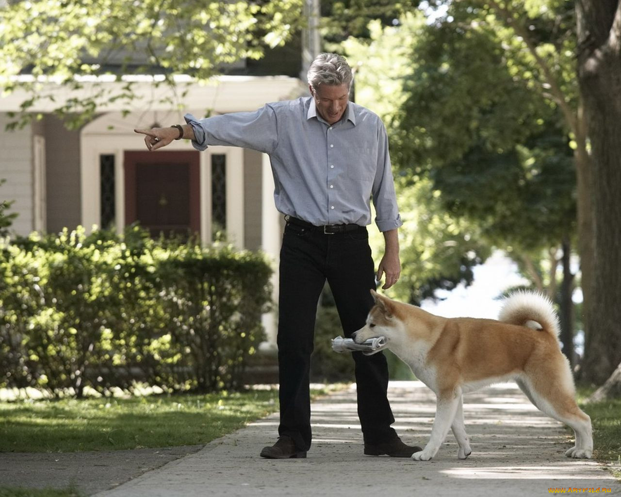 hachiko, dogs, story, , 